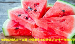 吃西瓜视频,夏日消暑必备，轻松解锁美食新体验